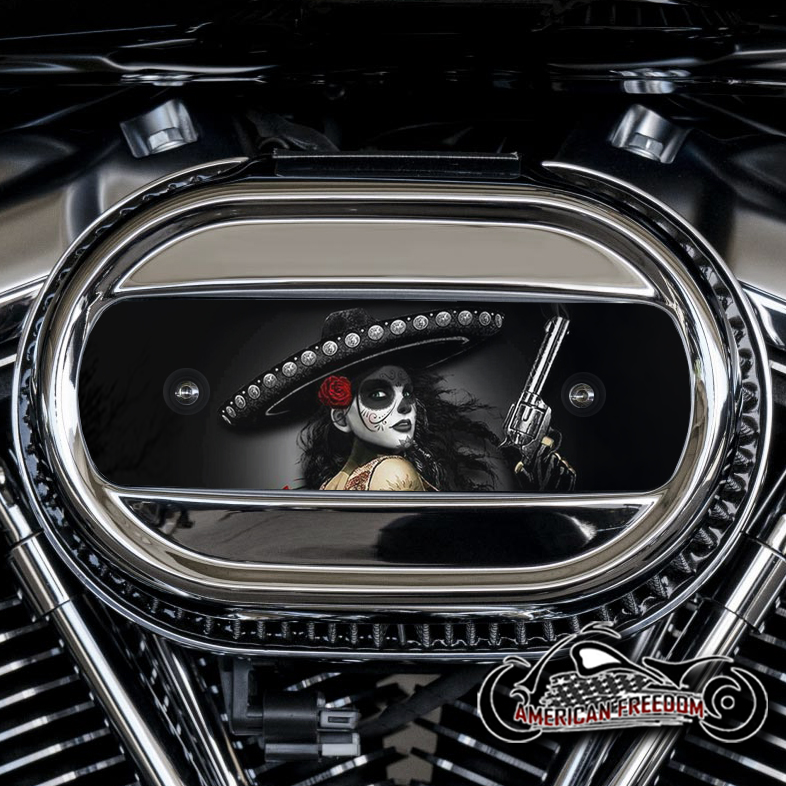 Harley Davidson M8 Ventilator Insert - Bandita
